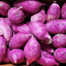 햇고구마 2kg 상중, 1