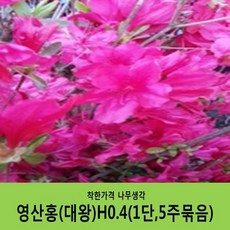 cf597d9af8ea0f8320ac3ca3a63aa4b6ca5f8618ae27c673c8c97c9aae3d.JPG