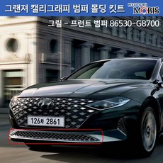 더뉴그랜저그릴