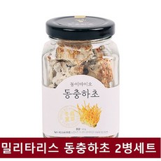 동충하초 밀리타리스 버섯 균사체 건조동충하초 말린동충하초 차 물 코디세핀 부모님 명절 선물세트, 1세트