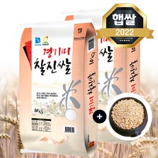 백진주쌀