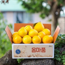 //상품명