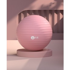 임산부기구필라테스.책