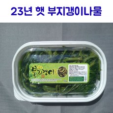 23년 햇 나물 울릉도 삶은 부지갱이 나물 550g, 1개