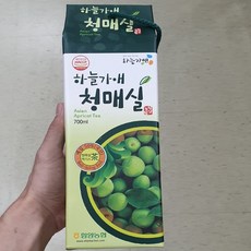 하늘가애청매실