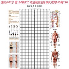 체형분석스크린