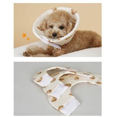 연고 바르는 소형견 상처핥기 방지 넥카라 청결하게, 1개