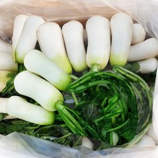 강원도알타리 절임알타리 초롱무 10kg 절임 총각무 알타리 손질세척절임, 1박스