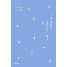 네가 여기에 빛을 몰고 왔다:먼저 떠난 아들에게 보내는 약속의 말들, 후마니타스, 김혜영