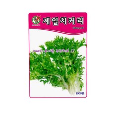 더덕씨앗