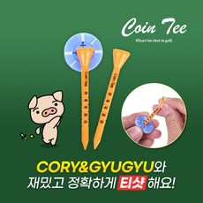 티코인