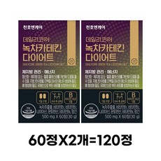 천호엔케어 데일리코어 녹차카테킨 다이어트 30g, 120정, 3개