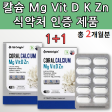 롱키원신호등