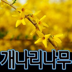 cf6337aa5becd4c9cd97e840d197a0a9d35554eda9caa9bc3060fa4cdd11.jpg