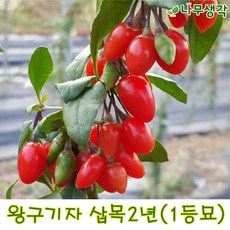 0a818aed08ba38dbceb5e1e775c5d9136f2f583a3c4a1513ff75dcd61498.jpg