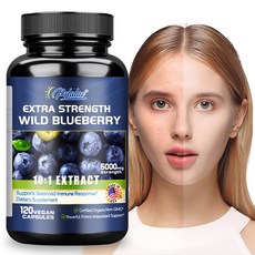 Pslalae 블루베리추출물500mg 항산화 영양보충 눈보호 60/120 캡슐, 3개, 120정