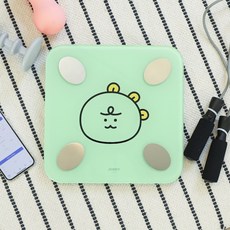 춘식이전자제품