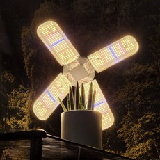 식물등 TOP01