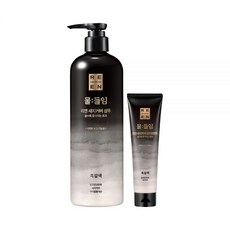 리엔 물들임 새치커버 샴푸 흑갈색 450ml + 트리트먼트 150ml, 2.자연갈색 샴푸 + 트리트먼트