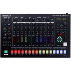 Roland AIRA 리듬 퍼포머 (TR-8S), 단일옵션