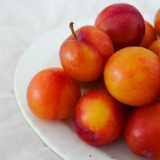 새콤달콤 고당도 햇 자두 1KG 2KG 대석자두 퍼플퀸 후무사, 퍼플퀸(07/06~ 순차적발송), 1KG(혼합), 1개