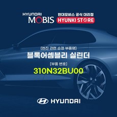 현대모비스 블록어셈블리 실린더 (310N32BU00), 1개