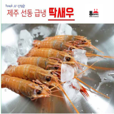 동아씨푸드 딱새우 소 1kg 70미 내외, 1개