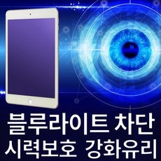 아이패드프로4세대12.9256