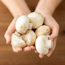 초록단비 양송이버섯, 1개, 500g (특품)