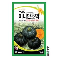 단호박씨