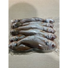 국내산 특대사이즈 백조기 10마리 한셋트 (비늘 아가미제거 급냉), 10개