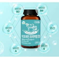 프랑스자수코사지