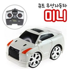 유아2인용차