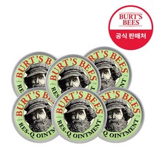 버츠비레스큐오인트먼트15g