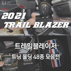 트레일블레이저바디사이드몰딩