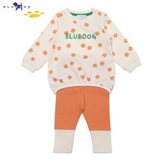 블루독베이비상하