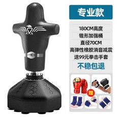 가정용스탠드오뚝이