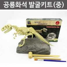 티라노사우루스화석