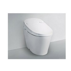 대림비데일체형변기