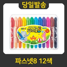 파스넷8