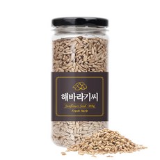 운동선수해바라기씨
