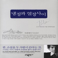 냉정과 열정사이(BLUE), 소담출판사, 츠지 히토나리 저/양억관 역