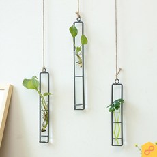 벽걸이수경재배