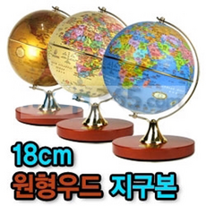 지구본현미경