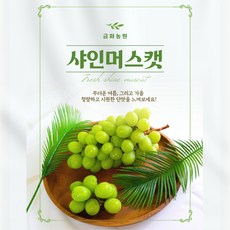 현대백화점샤인머스켓