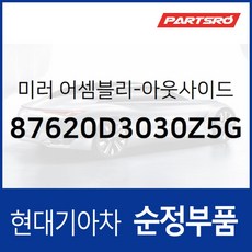 사이드미러(빽미러) 우측 (87620D3030Z5G) 올뉴 투싼TL, 1개