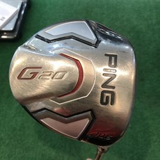 핑g20