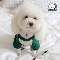 강아지주인커플티 애견커플룩 환절기 개플룩 펫피크닉, 옵션1 L-7~9근 적합, 1개