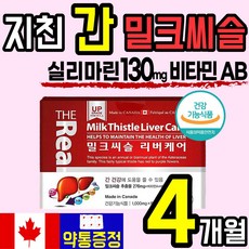 프리미엄 간 건강 밀크 씨슬 플러스 시슬 실리 씰리 마린 피로 피곤 활력 도움 식 약 처인정 캐나다 직수입 비타민 AB 아연 엽산 에좋은 홈쇼핑 추천 40대 50대 직장인 수험생, 120정, 2개 - 실리칸플러스