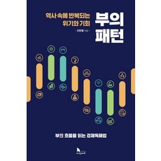 부의 패턴:역사 속에 반복되는 위기와 기회 | 부의 흐름을 읽는 경제독해법, 지식노마드, 조현철